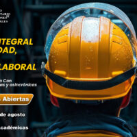 Diplomado en gestión integral de seguridad, salud y ambiente laboral